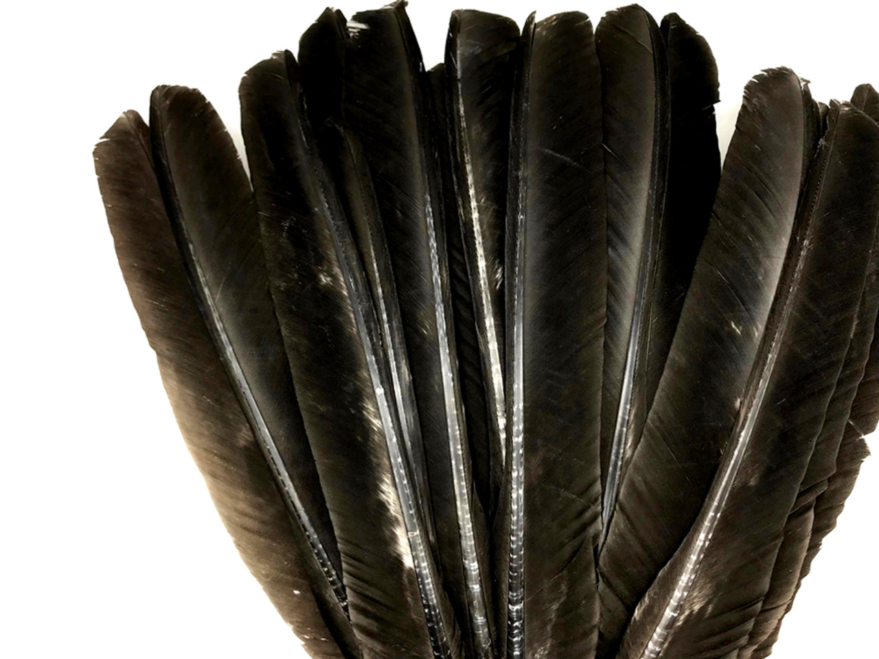 6 Pieces Red Wild Turkey Wing Feathers