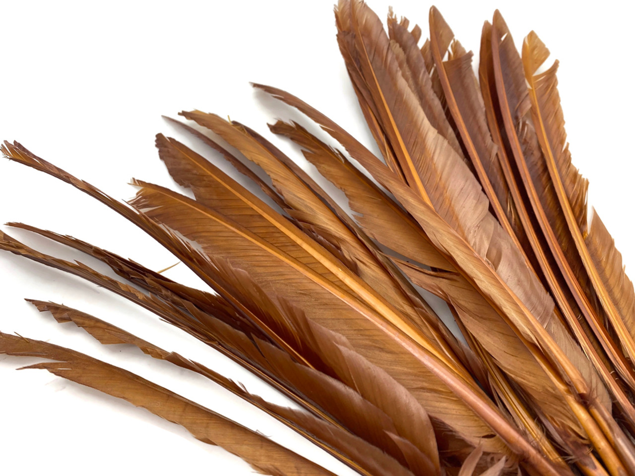 Brown Feathers 