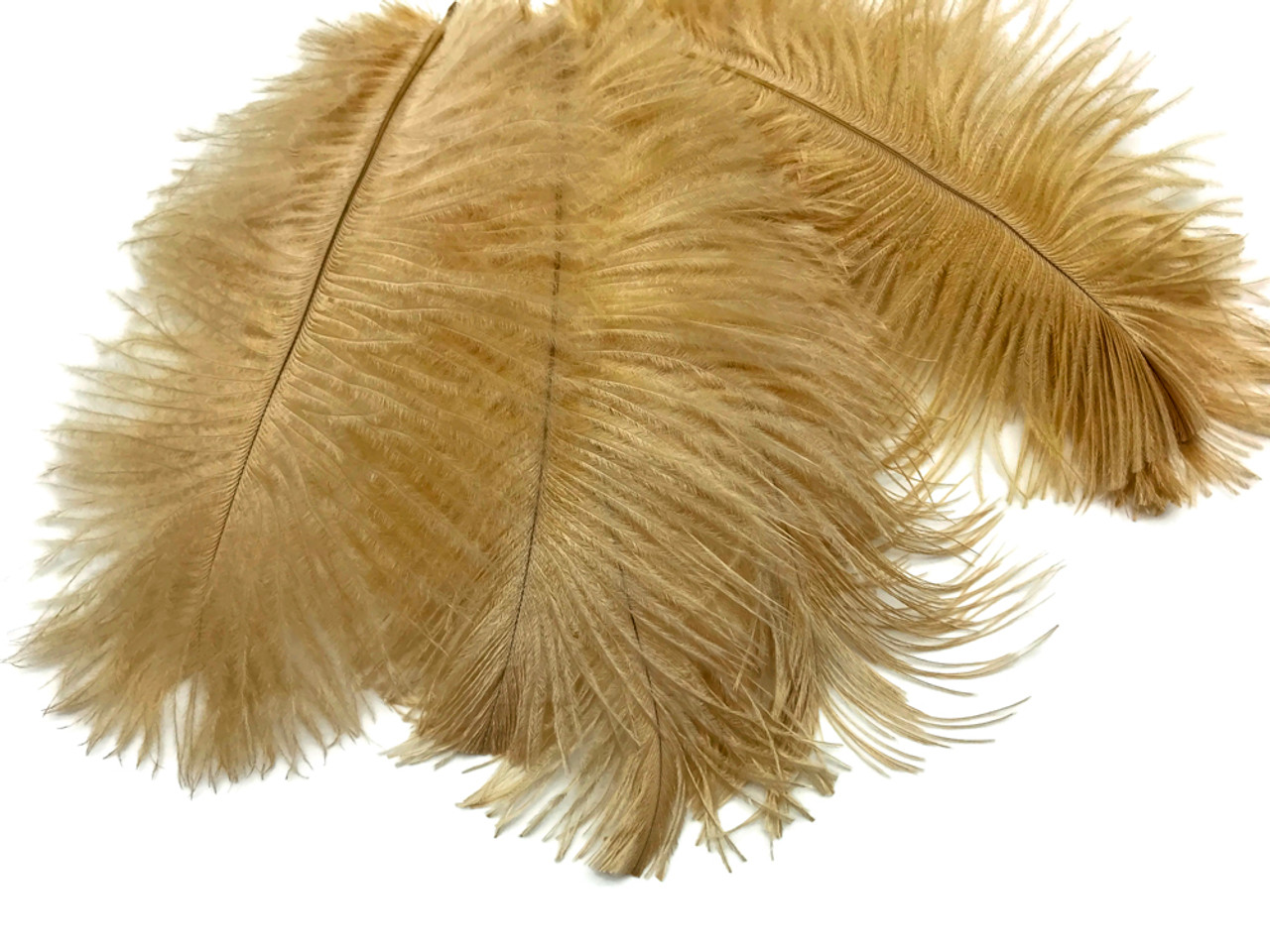 Belagio Ostrich Feather Trim, 6 Wide, Gold