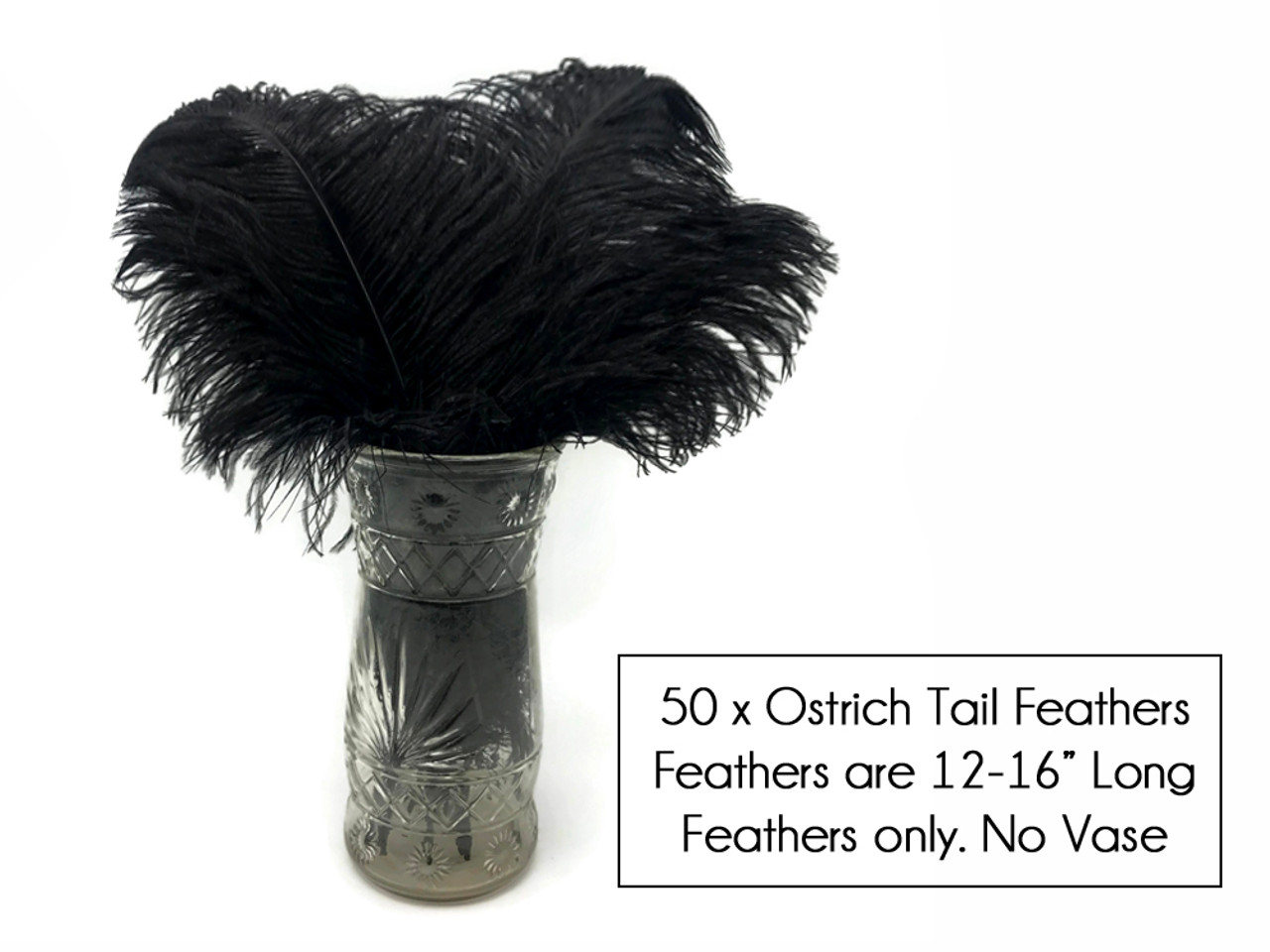 12-16 Inch Black Ostrich Tail Centerpiece Feathers - 50 Pieces