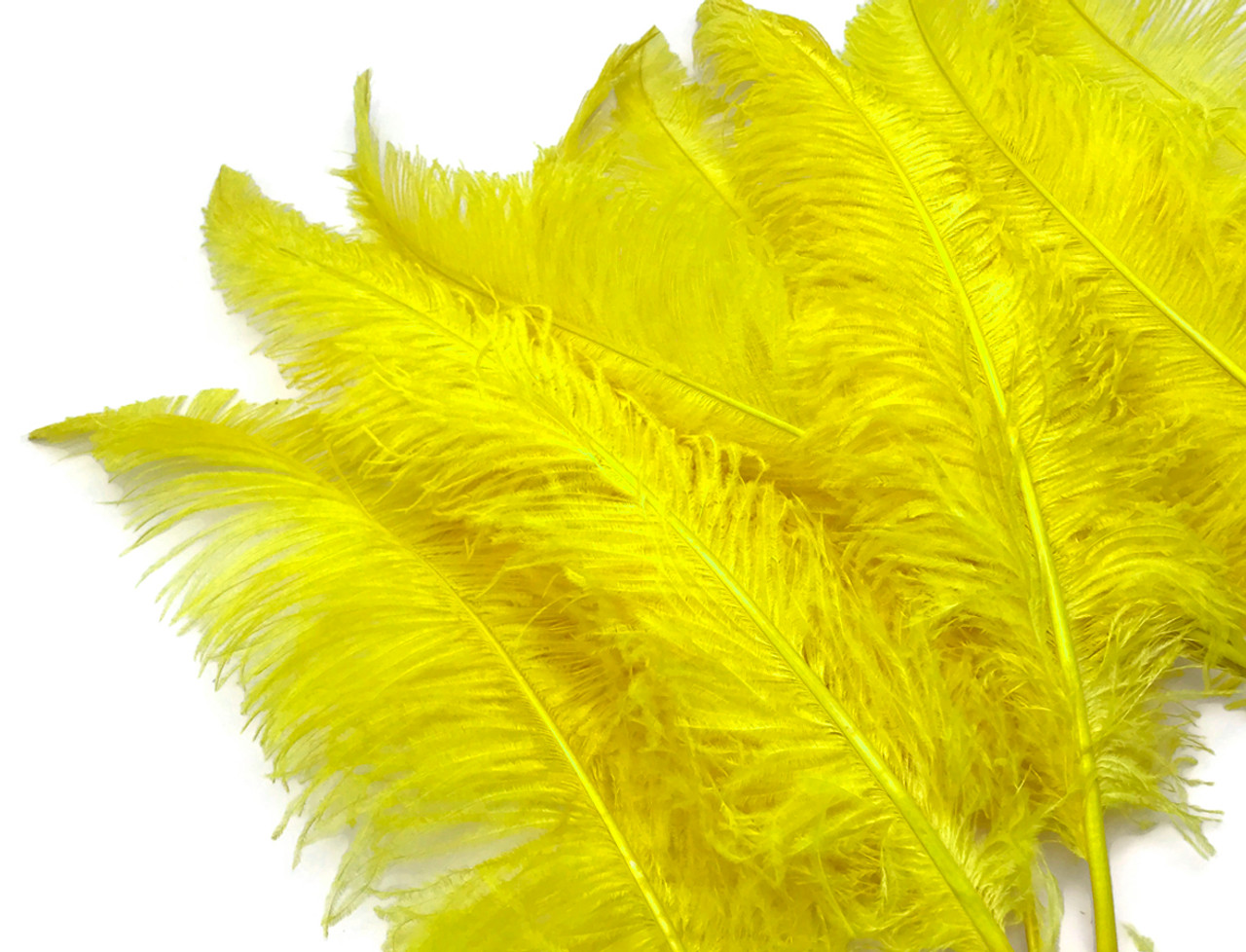 Bulk Yellow Ostrich Feather Spads  Buy Wholesale Craft Feathers – Zucker  Feather Products, Inc.