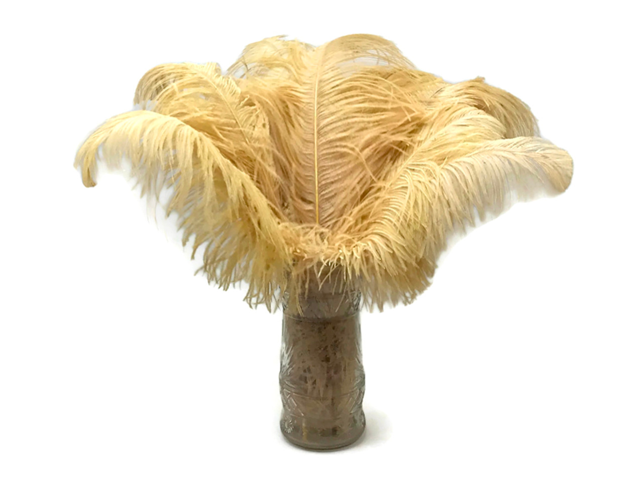 1/2 Lb. - 18-24 Old Gold Large Ostrich Wing Plume Wholesale Feathers (Bulk)