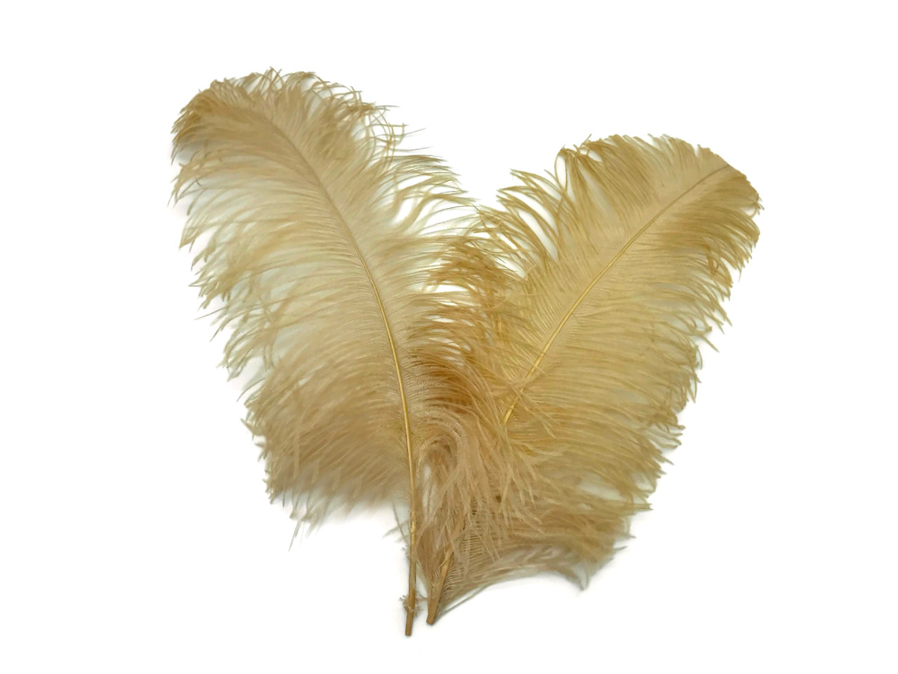 1/2 Lb. - 18-24 Old Gold Large Ostrich Wing Plume Wholesale Feathers (Bulk)