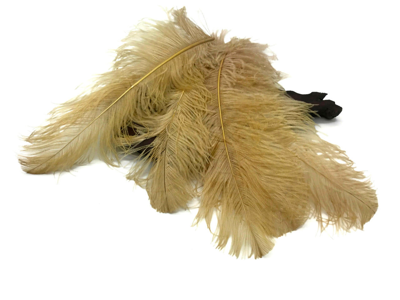 Wholesale Ostrich Feathers, drabs 12-17 inches, per 10 Feathers (CHOOS –  Schuman Feathers