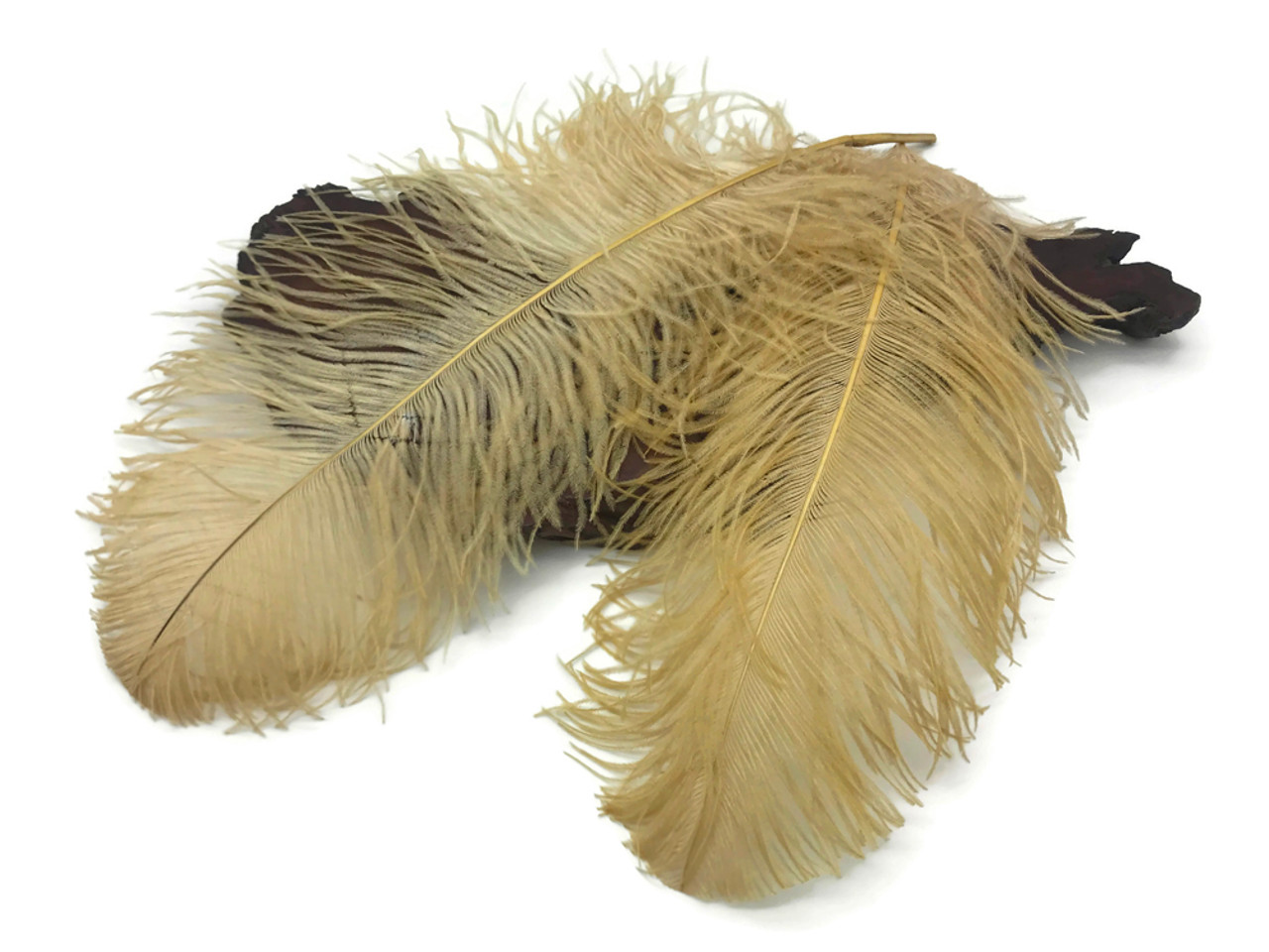 1/2 Lb. - 18-24 Old Gold Large Ostrich Wing Plume Wholesale Feathers (Bulk)