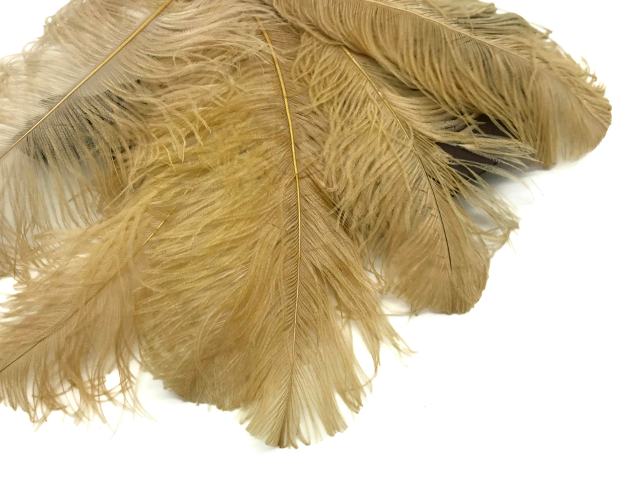 Ostrich Feather Spad Plumes 16-20 (Gold)