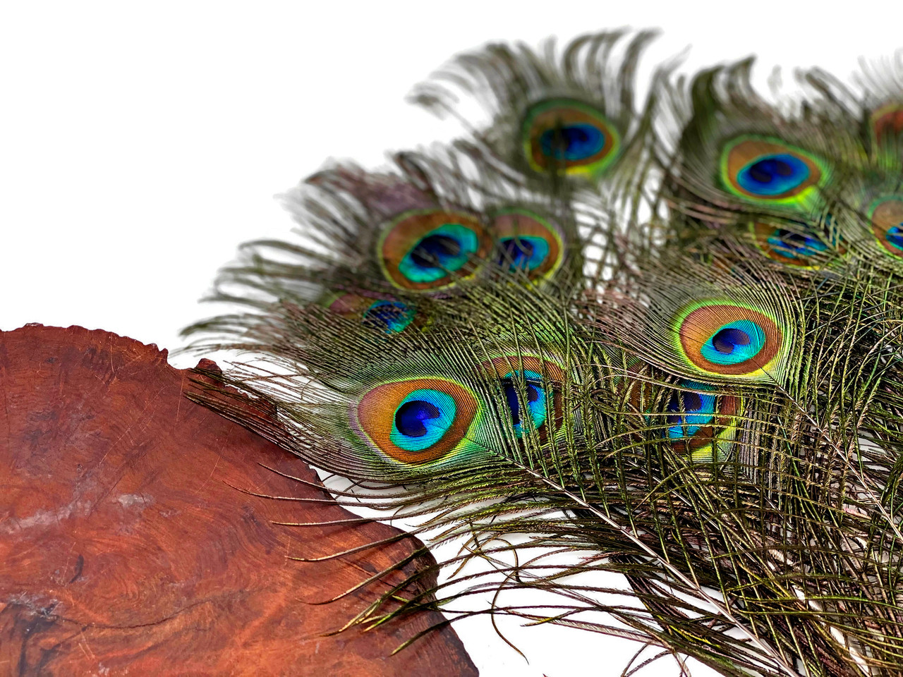 10X Real Natural Peacock Tail Eyes Feathers Wedding Festival Party Home  Decor_US