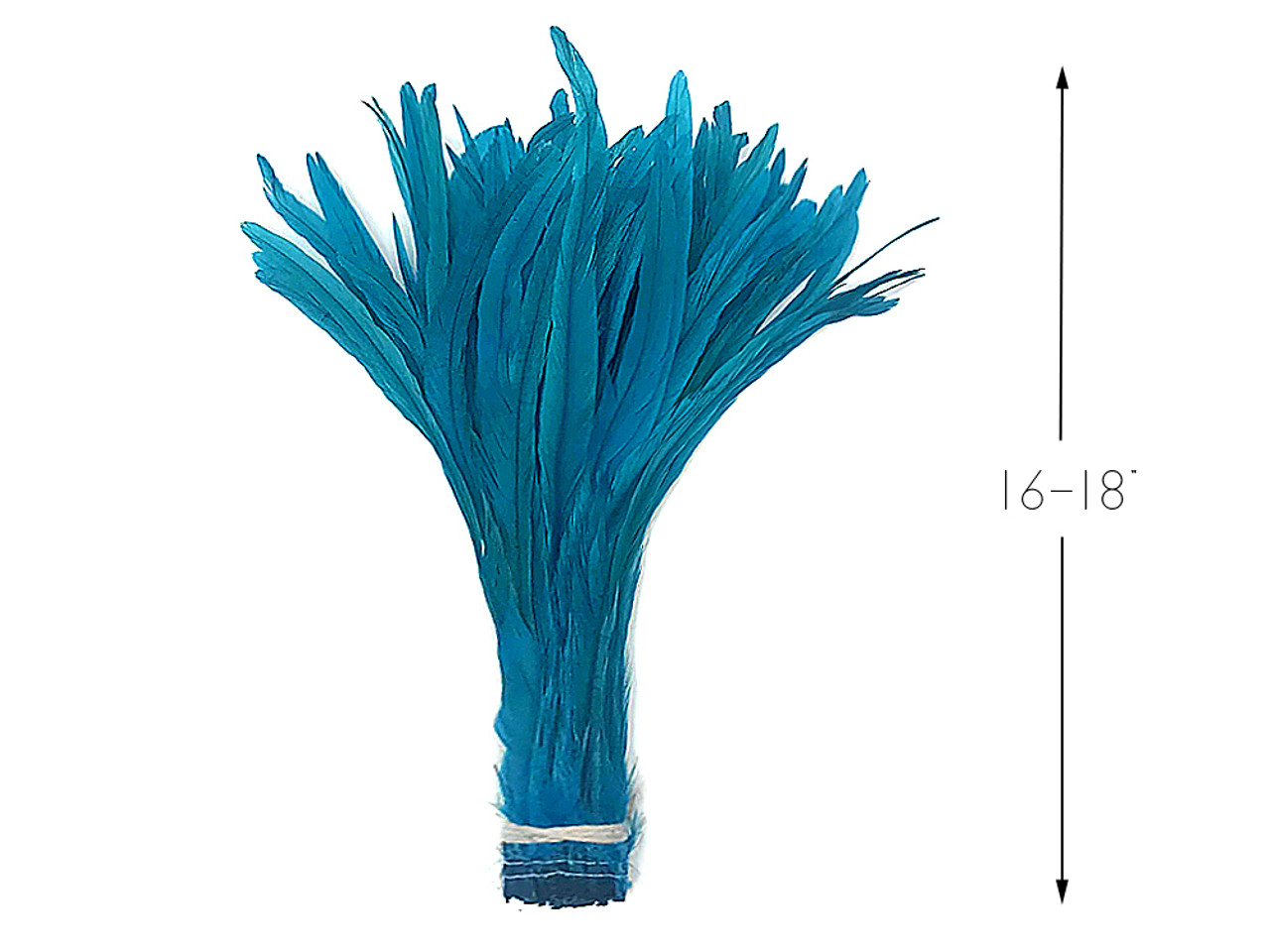 2.5 Inch Strip - 16-18 Turquoise Blue Strung Bleach & Dyed Rooster Coque  Tail Feathers