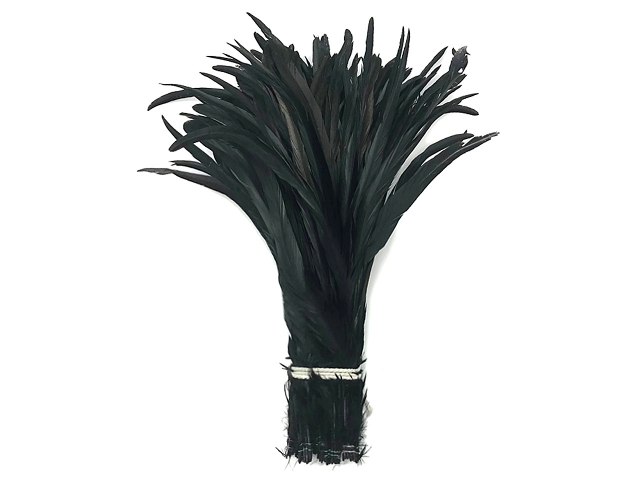 Black Rooster Coque Tail Feathers, Strung, per Yard / Wholesale Bulk  Feathers 5 7 Long Price per Yard 