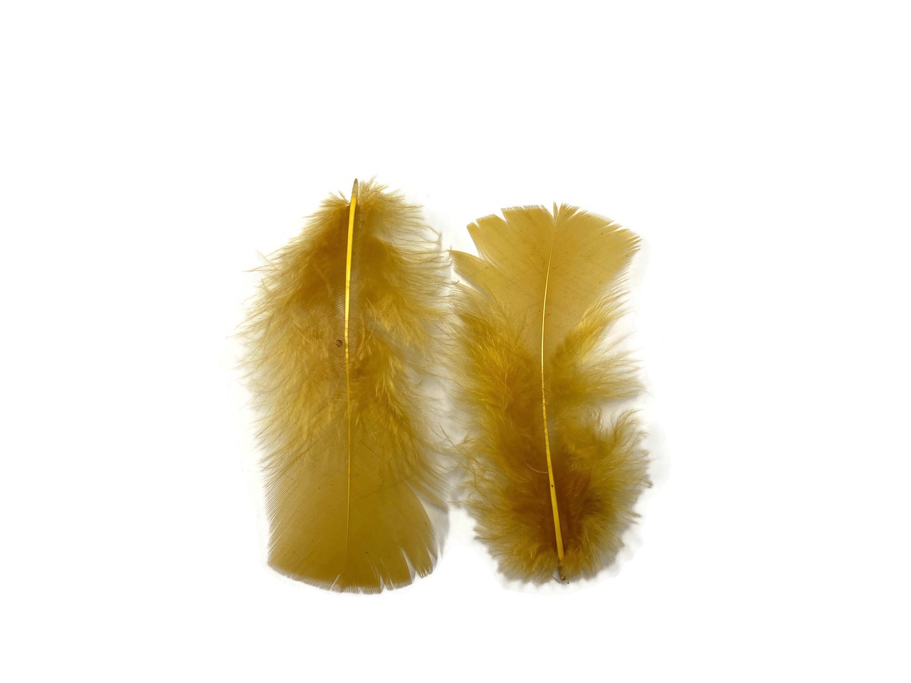 1 Pack - Dyed Brown Duck Primary Wing Pointer Feathers 0.50 Oz. Craft  Halloween Costume Carnival Supply | Moonlight Feather