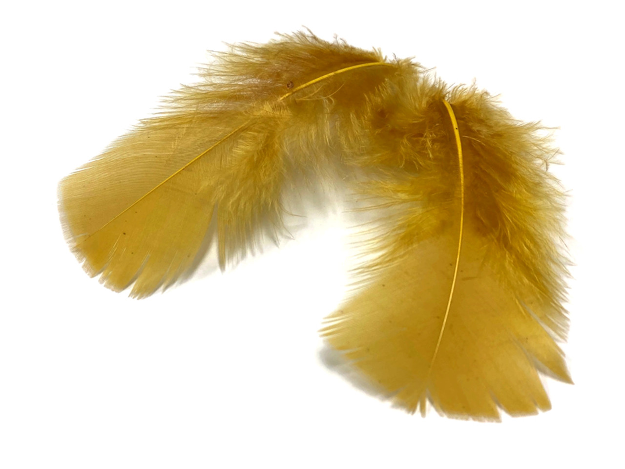 1/4 Lb. - Natural White Hen Saddle Wholesale Plumage Feathers (Bulk)
