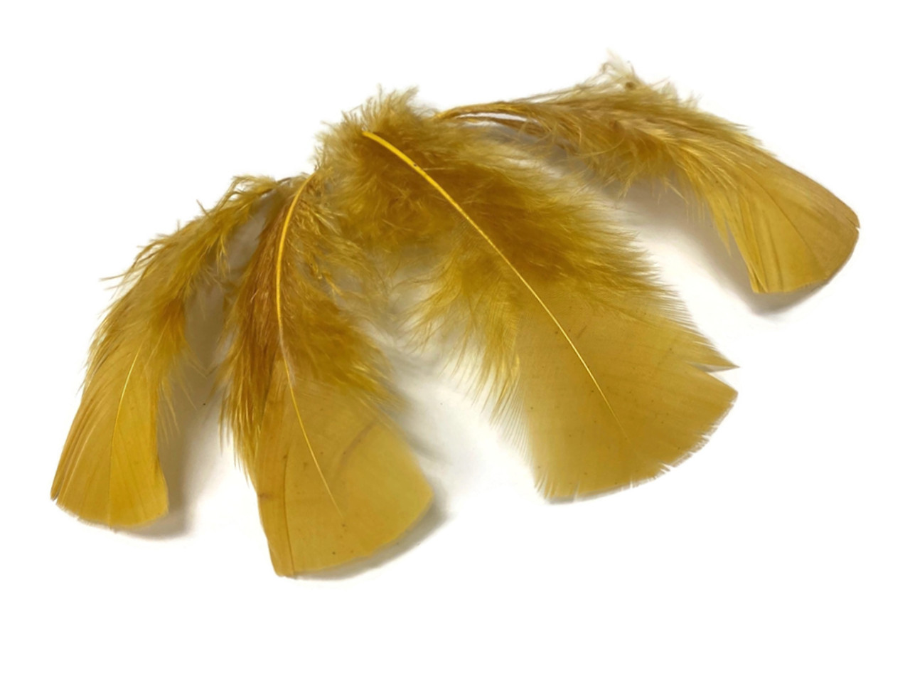 97 Hair feathers ideas  feather hair extensions, feather