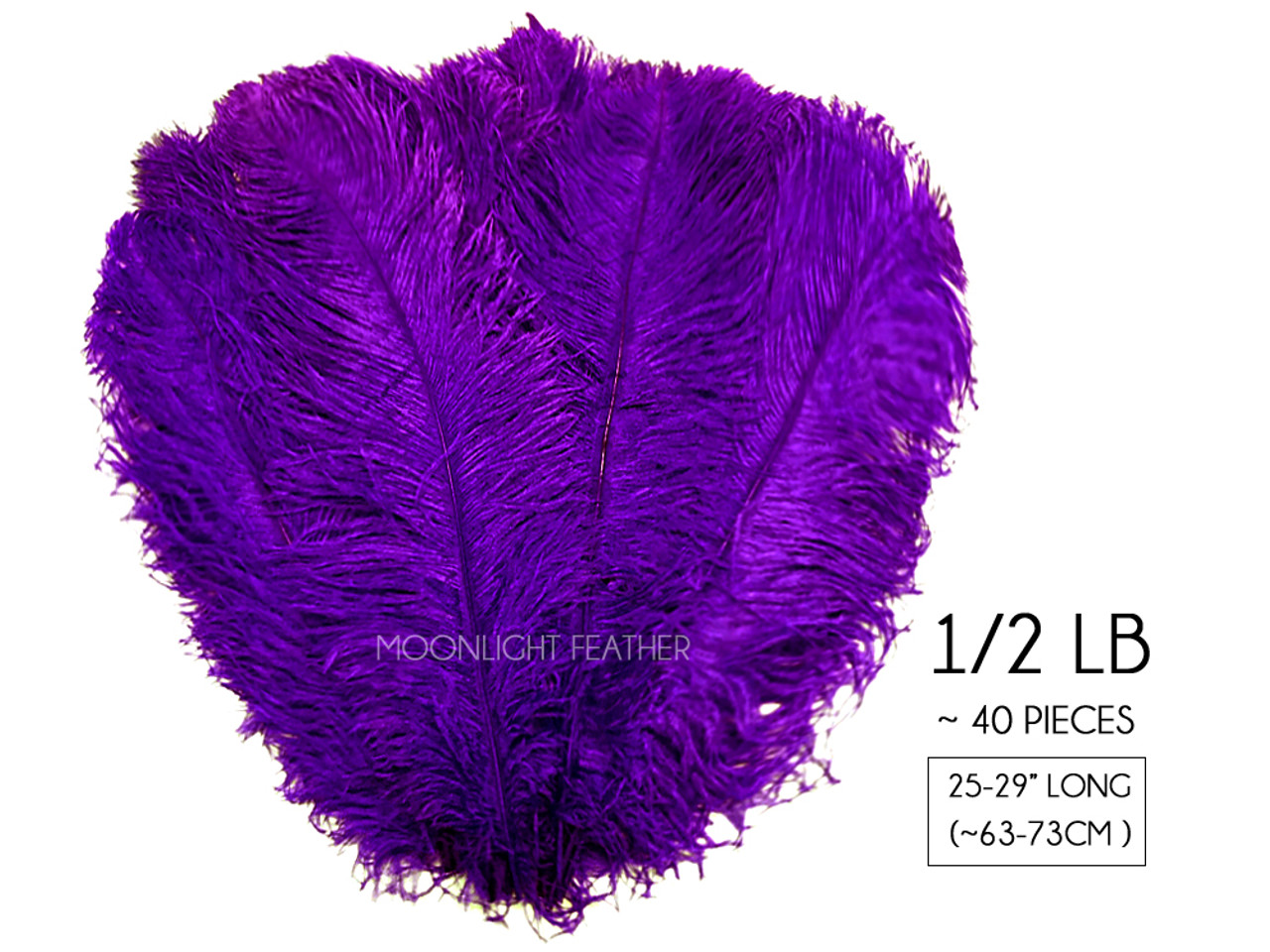 Touch of Nature Ostrich Plume 22 Purple 1pc
