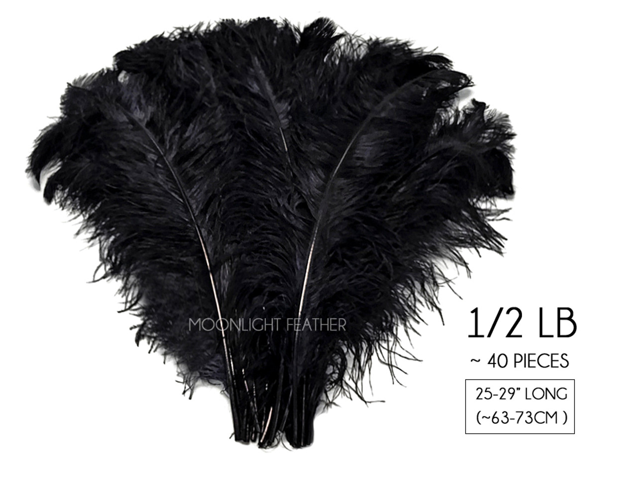 1/2 lb - 18-24 BLACK Large Wing Plumes Wholesale Feathers (bulk) SWA