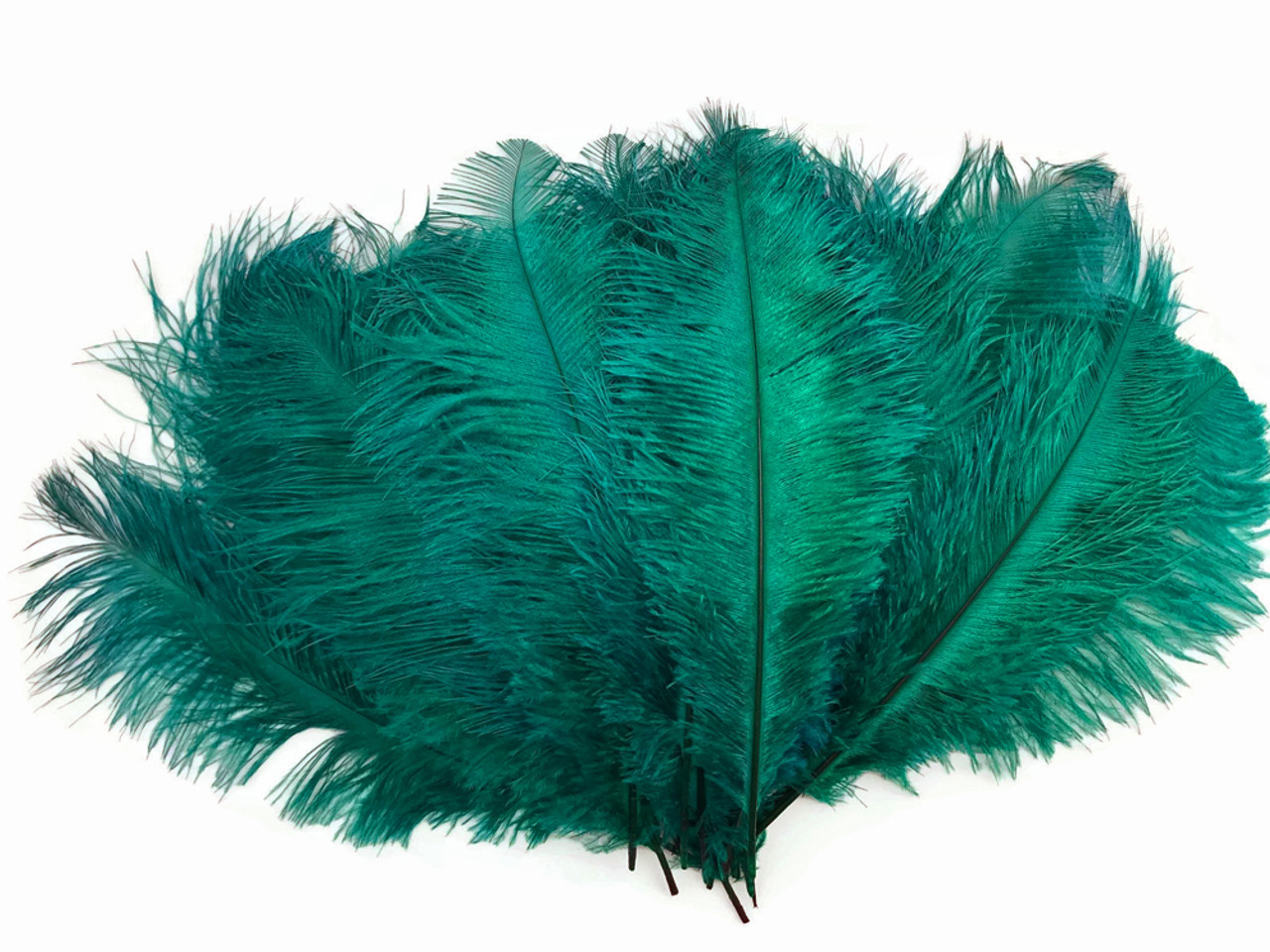 Elegant Ostrich Feather Trim - Wholesale Feathers