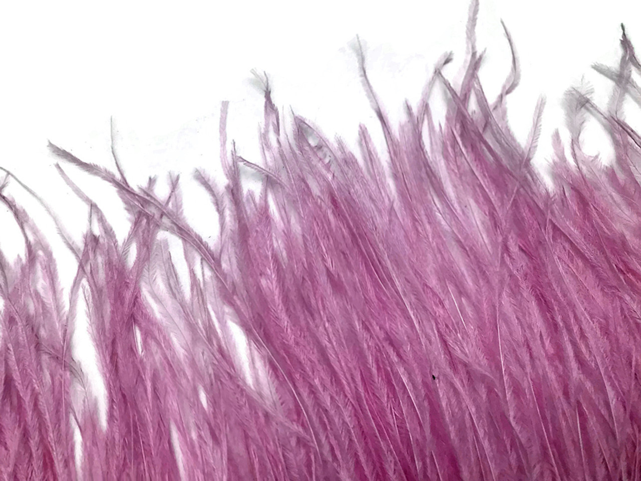 6 Inch Strip - Baby Pink Ostrich Fringe Trim Feather