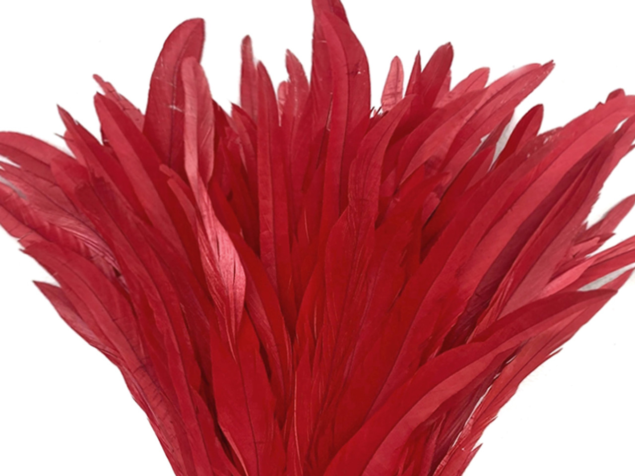 14-16 Ostrich Feathers: Red (6) [] 