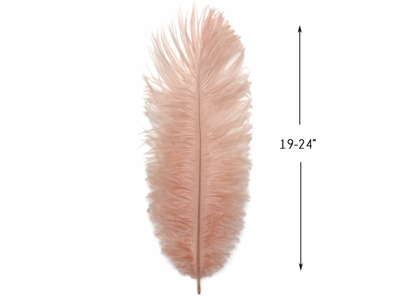 1/2 Lb. - 19-24 Champagne Ostrich Extra Long Drab Wholesale Feathers (Bulk)