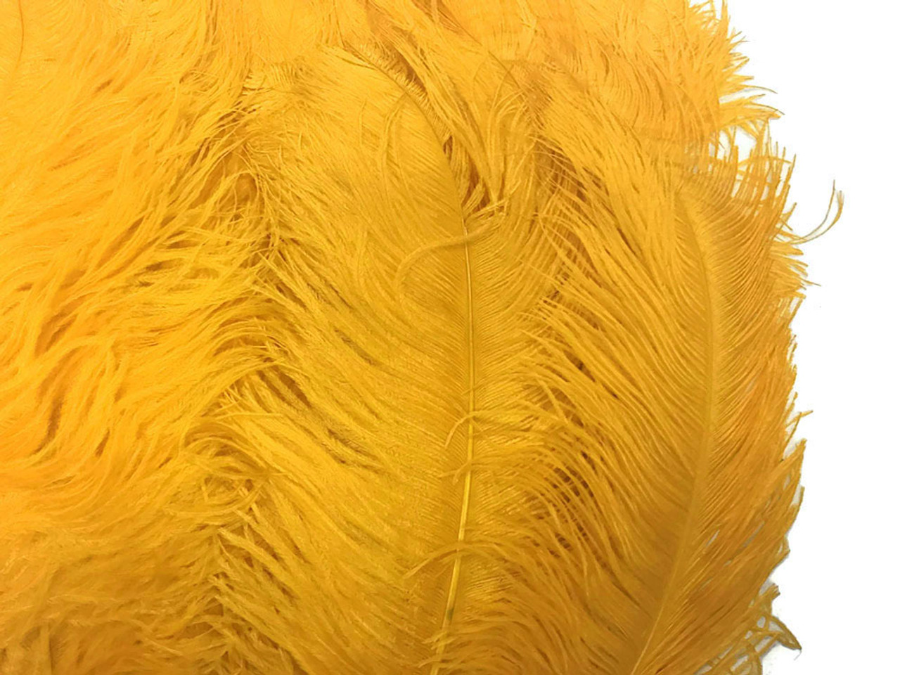 Large #1 Ostrich Feathers - Spad Wing Feathers - Dyed Plumes