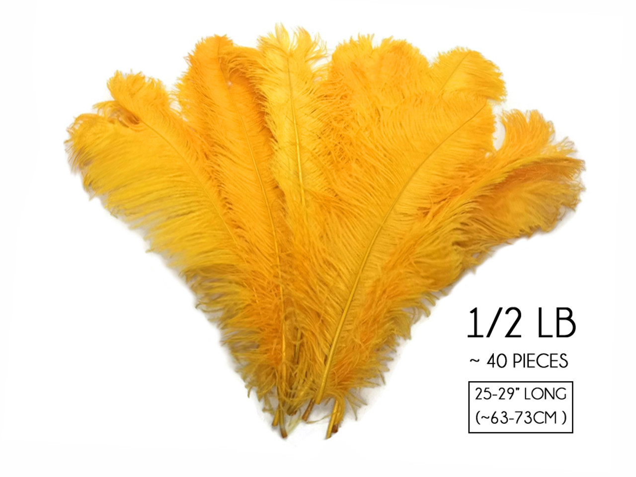 Ostrich Flexible Feathers 9-12 (Golden Yellow) for Sale Online