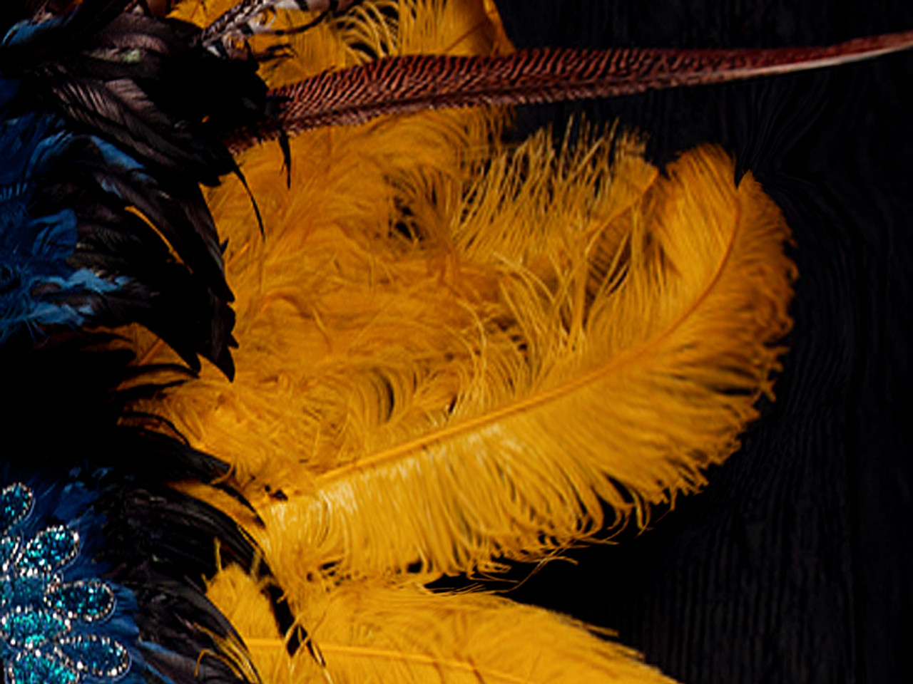 Black feather plume with gold streamers 6-10