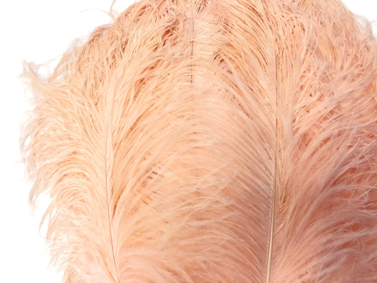 1/2 Lb. - 25-29 Red Large Ostrich Wing Plume Wholesale Feathers (Bulk)