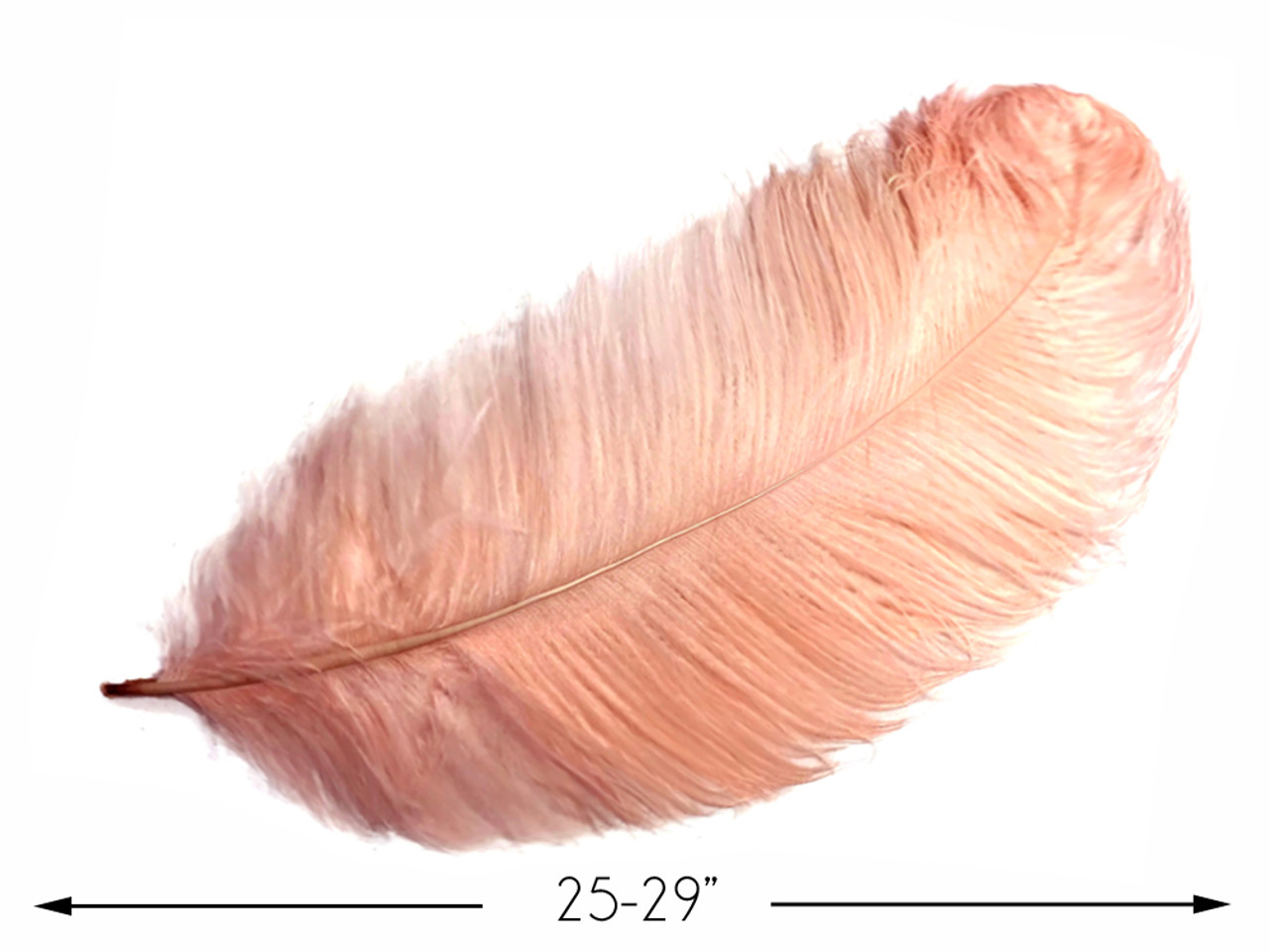 1/2 lb. - 25-29 Black Large Ostrich Wing Plumes Wholesale Feathers (Bulk)