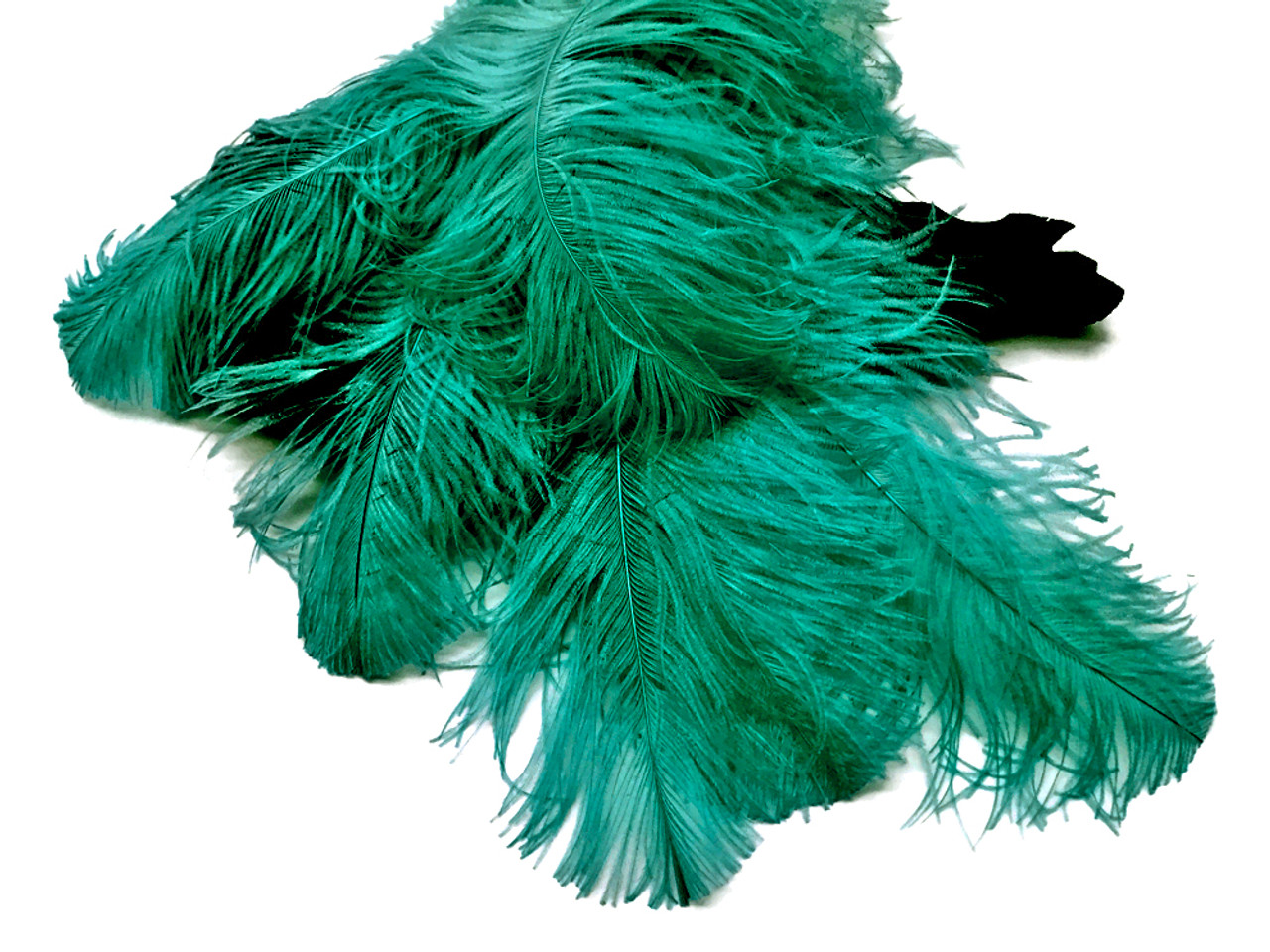 1/2 lb. - 18-24 Teal Green Large Wing Plumes Wholesale Feathers