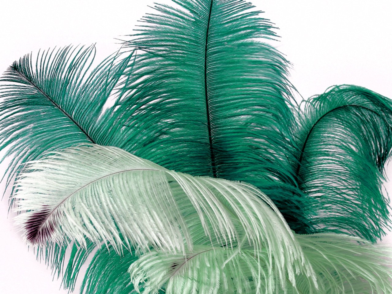 Bulk Emerald Green Goose Pallet Feathers  Buy 6 to 8 Inches Goose Feathers  – Zucker Feather Products, Inc.