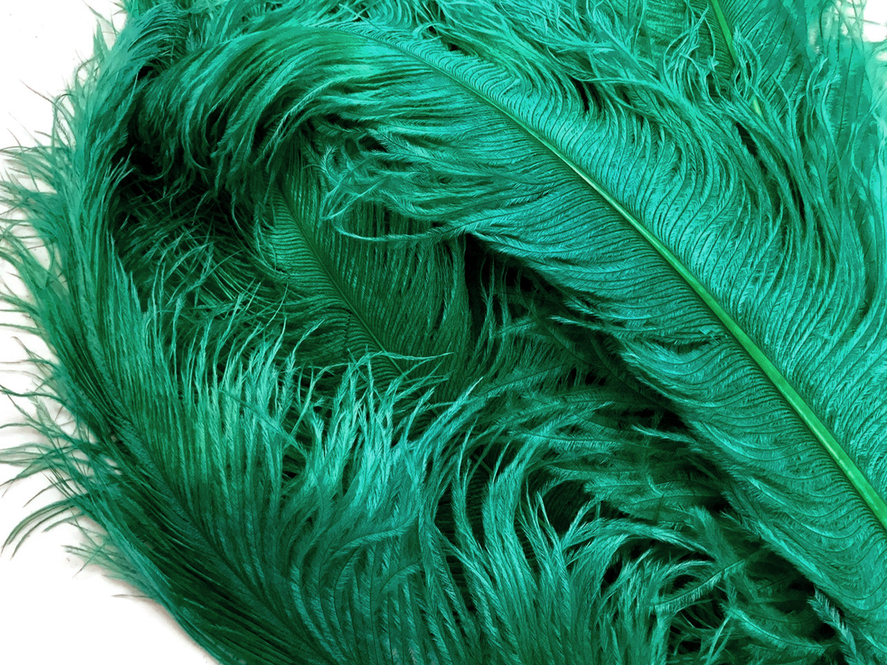 1/2 Lb. - 25-29 Teal Green Large Ostrich Wing Plume Wholesale Feathers  (Bulk)