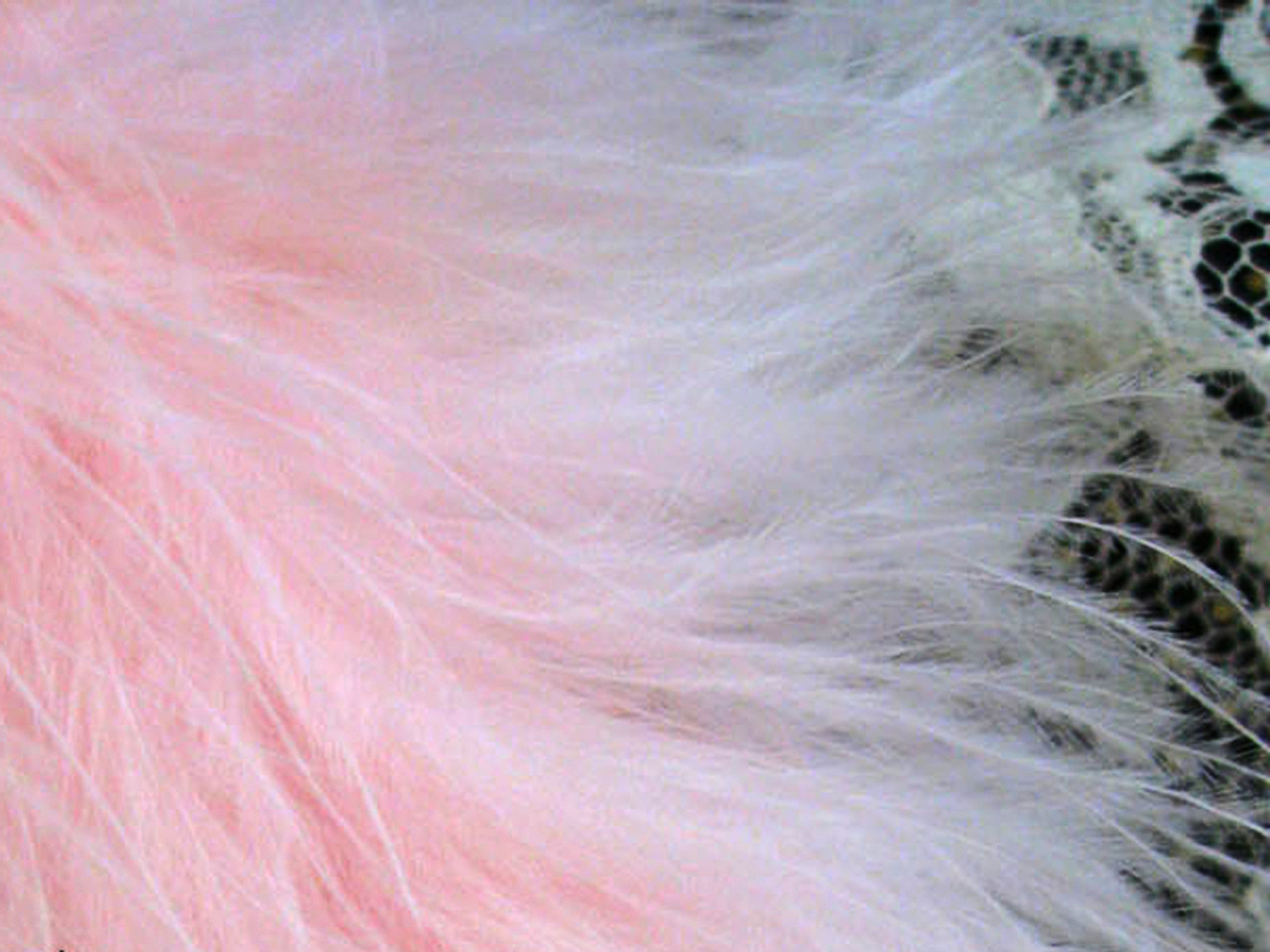 Full Marabou Feather Boa - 2 Yards - Light Pink 