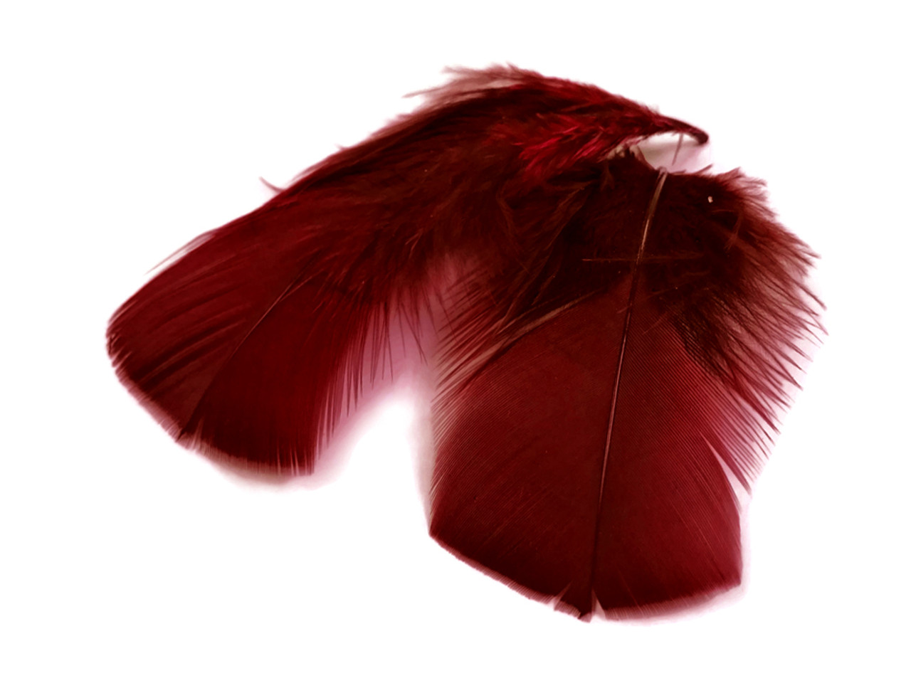 1 Pack - Dyed Brown Duck Primary Wing Pointer Feathers 0.50 Oz. Craft  Halloween Costume Carnival Supply | Moonlight Feather