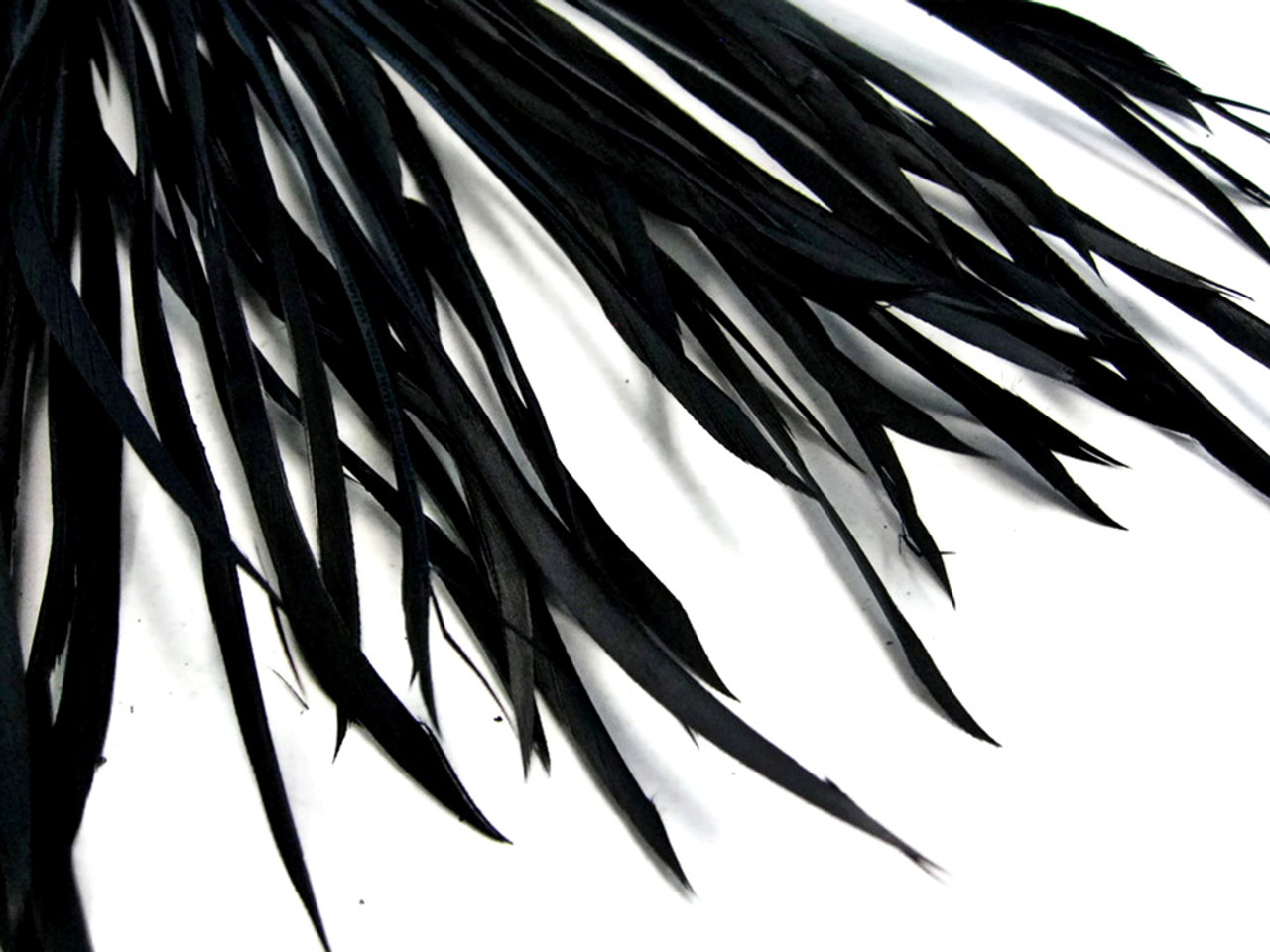 Black Feather Trim