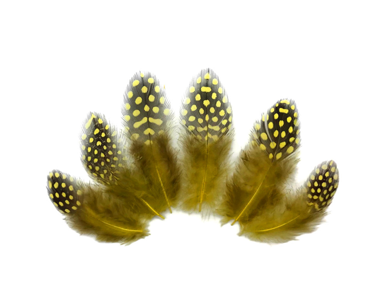 YELLOW FEATHERS – ENI'S