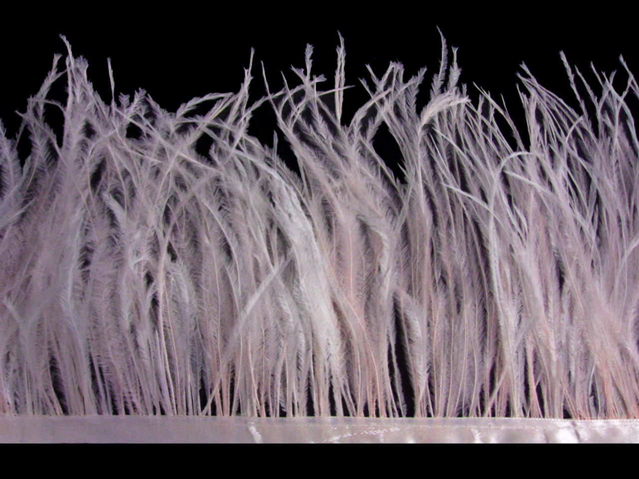 6 inch Strip - Baby Pink Ostrich Fringe Trim Feather Craft Sample DIY Millinery Supply | Moonlight Feather