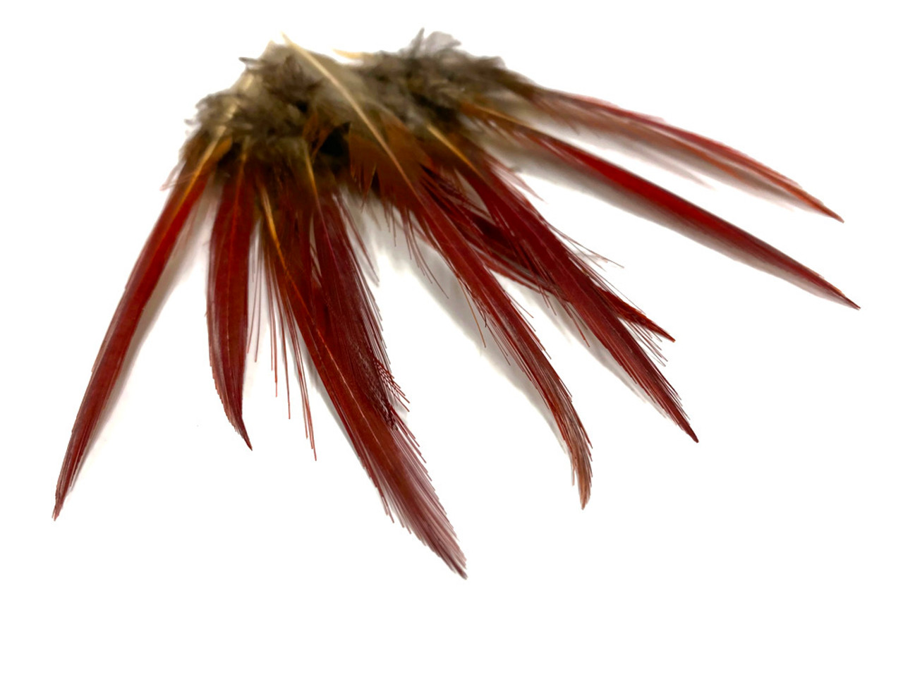 Natural Pheasant Feathers Spotted Feathers Turkey Feathers 4 - Temu