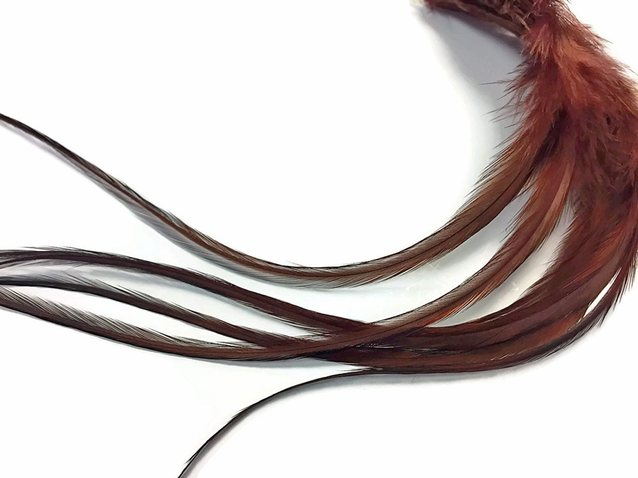 6 Pieces - XL SOLID BROWN Thin Rooster Hair Extension Feathers