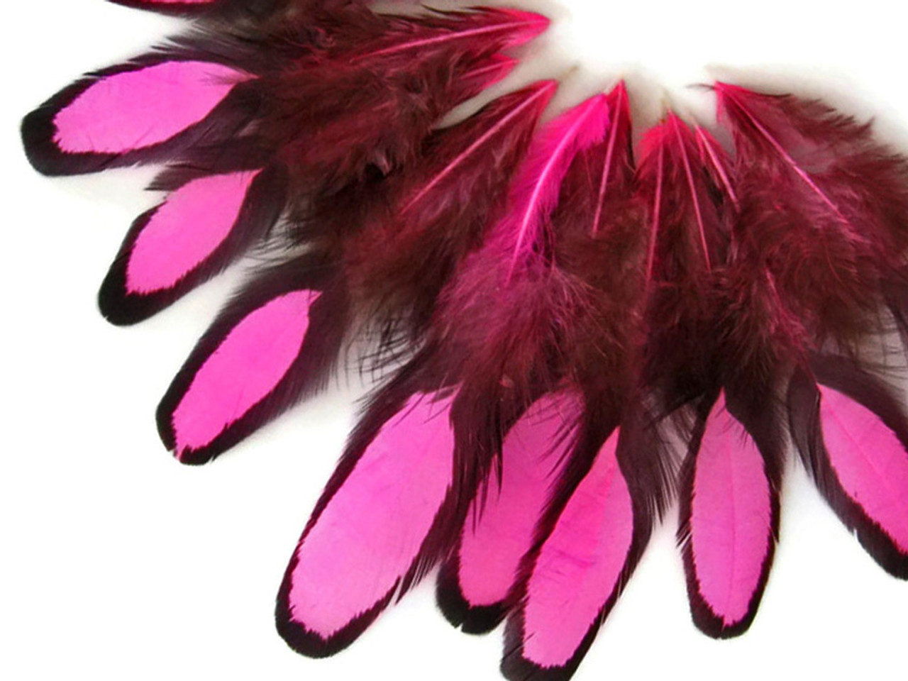 Hot Pink Laced Hen Saddle Feathers for Crafts Pink Black Craft Feathers  x12PCS