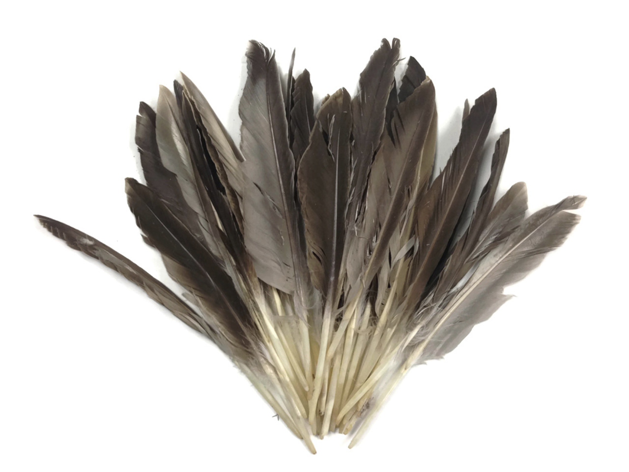 1 Pack - Dyed Brown Duck Primary Wing Pointer Feathers 0.50 Oz. Craft  Halloween Costume Carnival Supply | Moonlight Feather