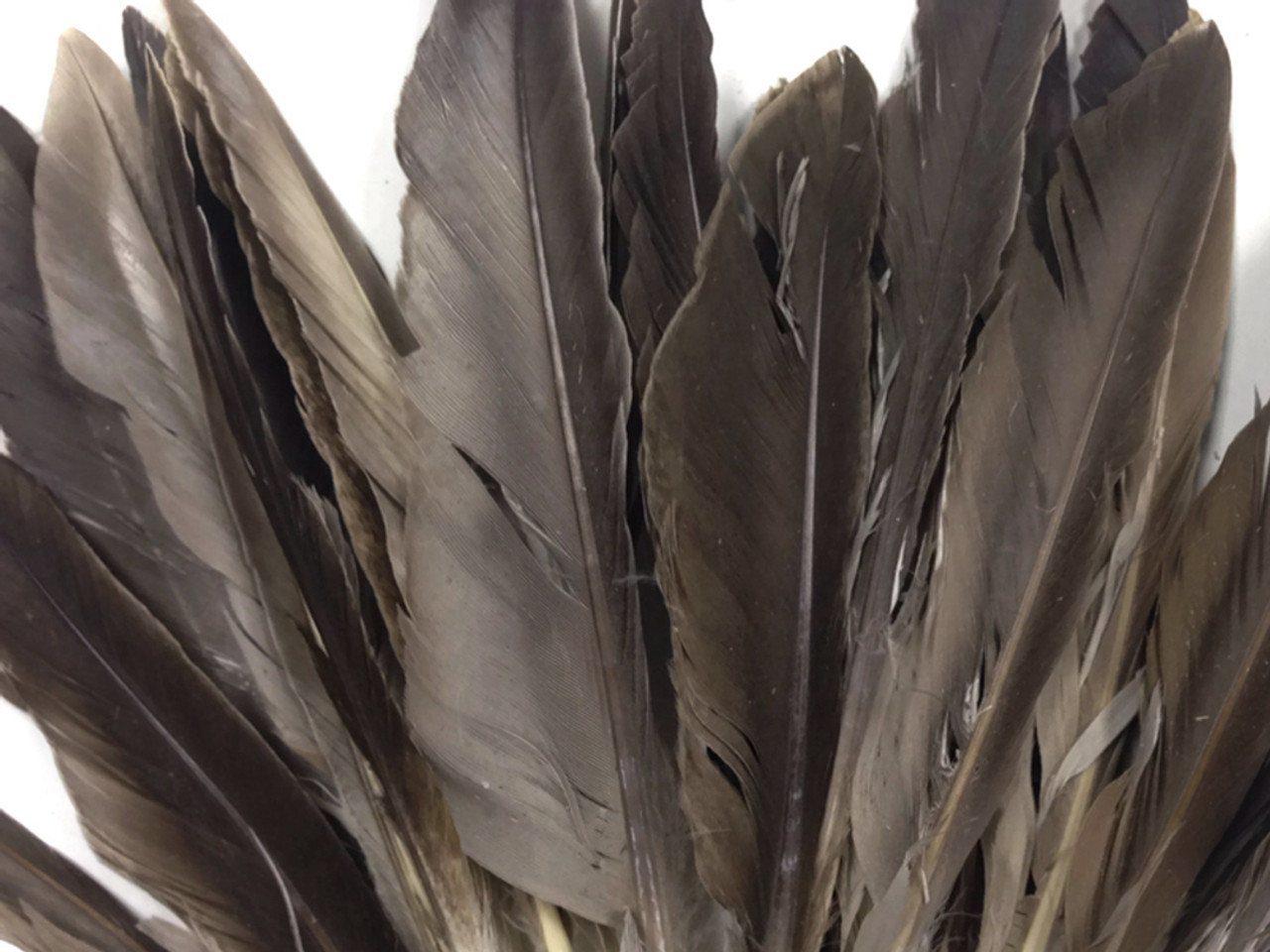 1 Pack - Natural Brown Duck Primary Wing Pointer Feathers 0.50 Oz.