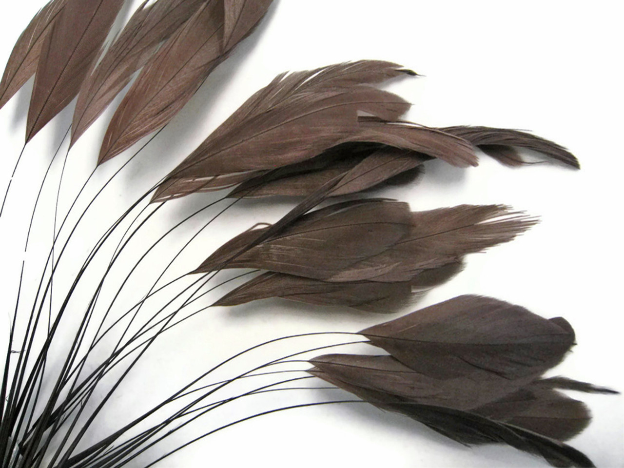 1 Dozen - Brown Stripped Rooster Coque Tail Feathers