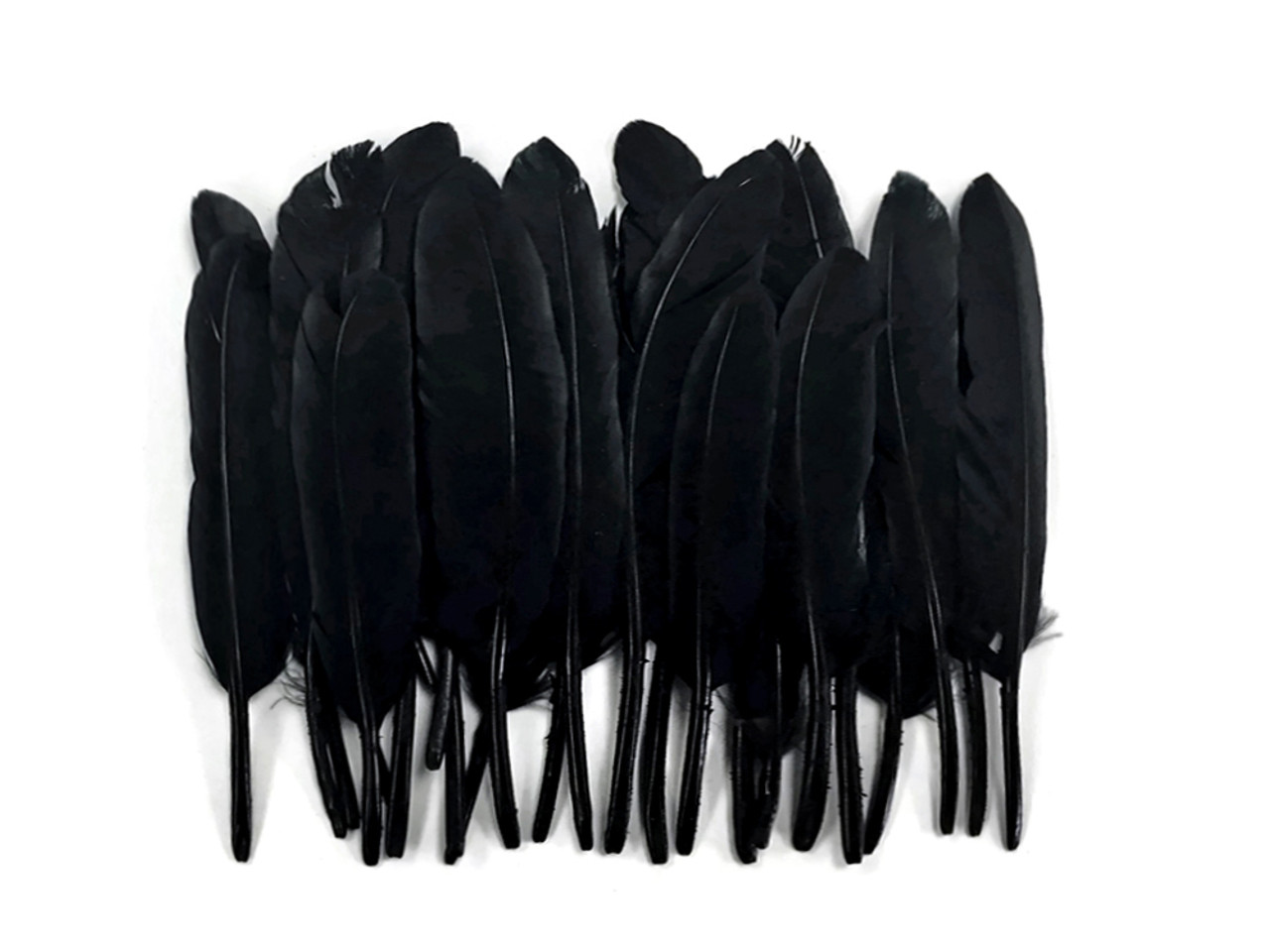 Eye-catching Deals On Decorative Wholesale black fringe trim 