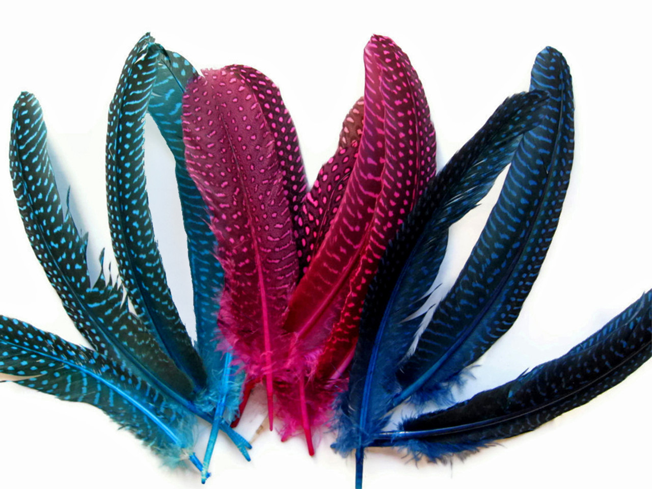 GUINEA FOWL FEATHERS - Fly Tying Materials - 12 COLORS - Fly Tying Feathers  NEW