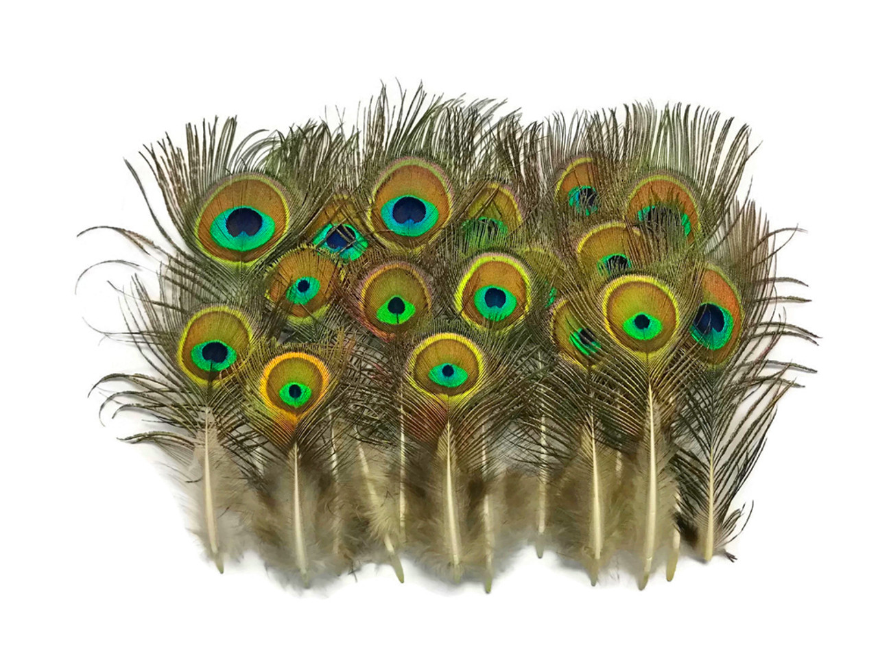 Natural Peacock Feathers, Peacock Feathers Decor