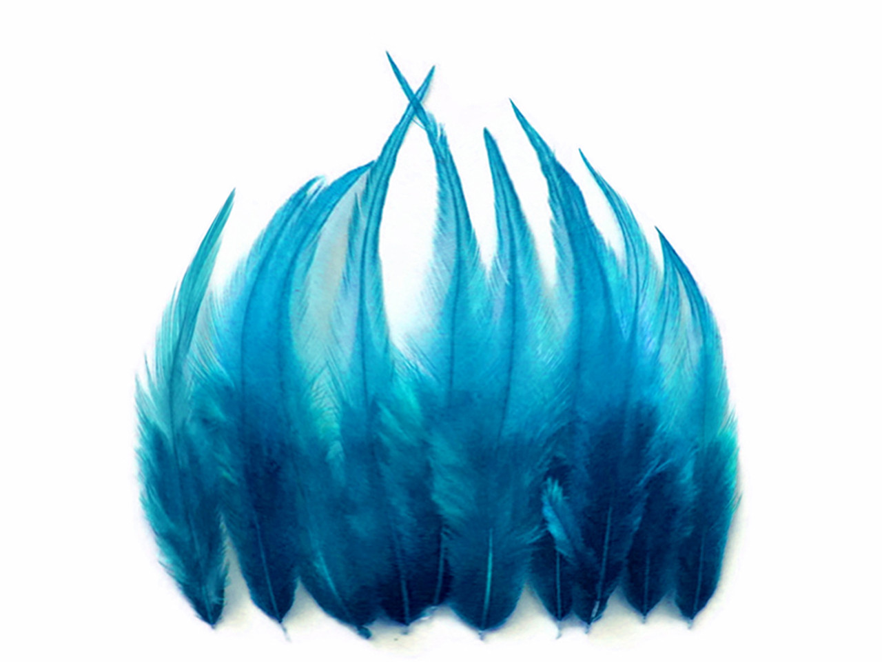 50 Short Hair Feathers - Crats - Fly Tying