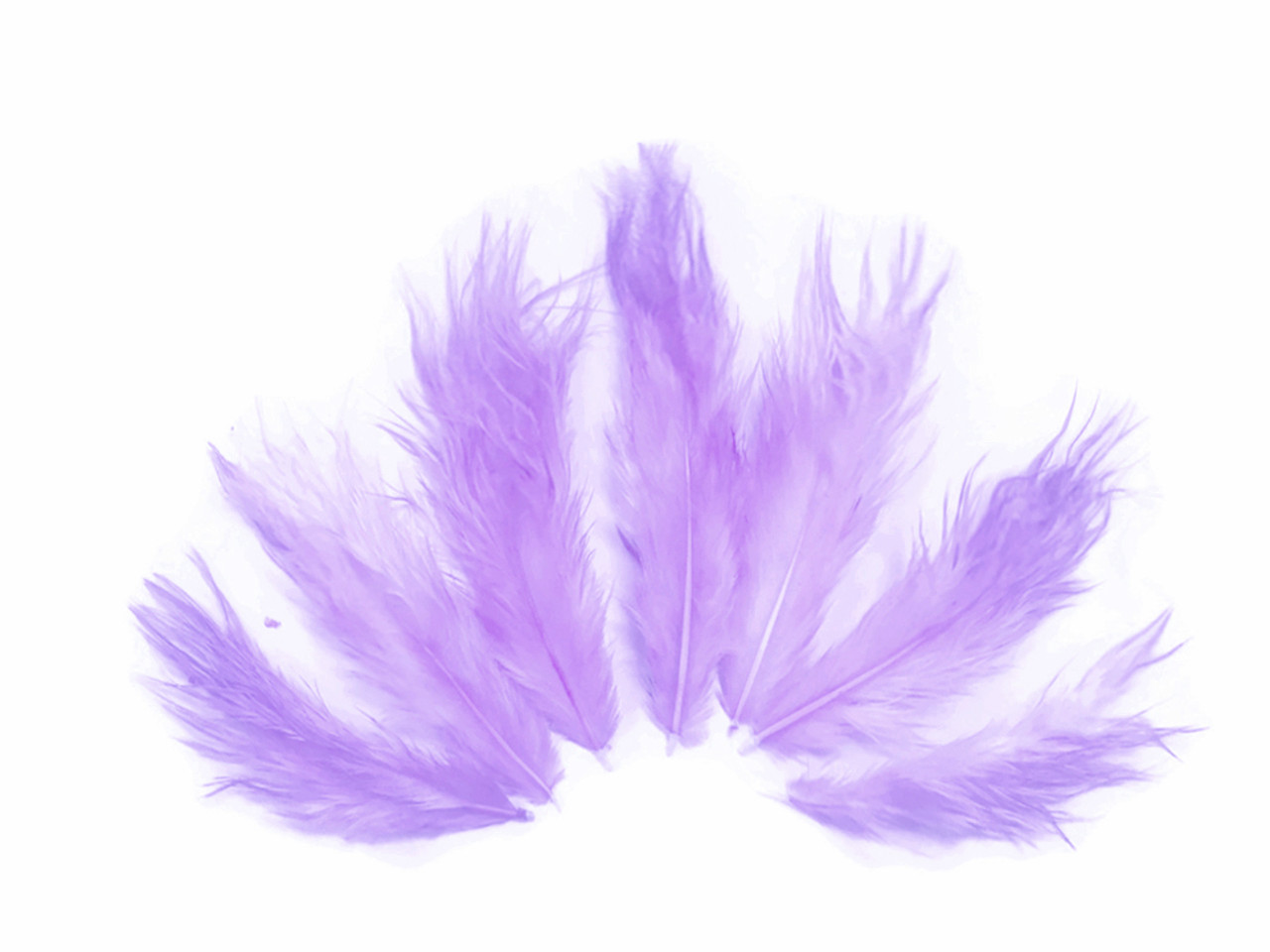 Feather Fluff