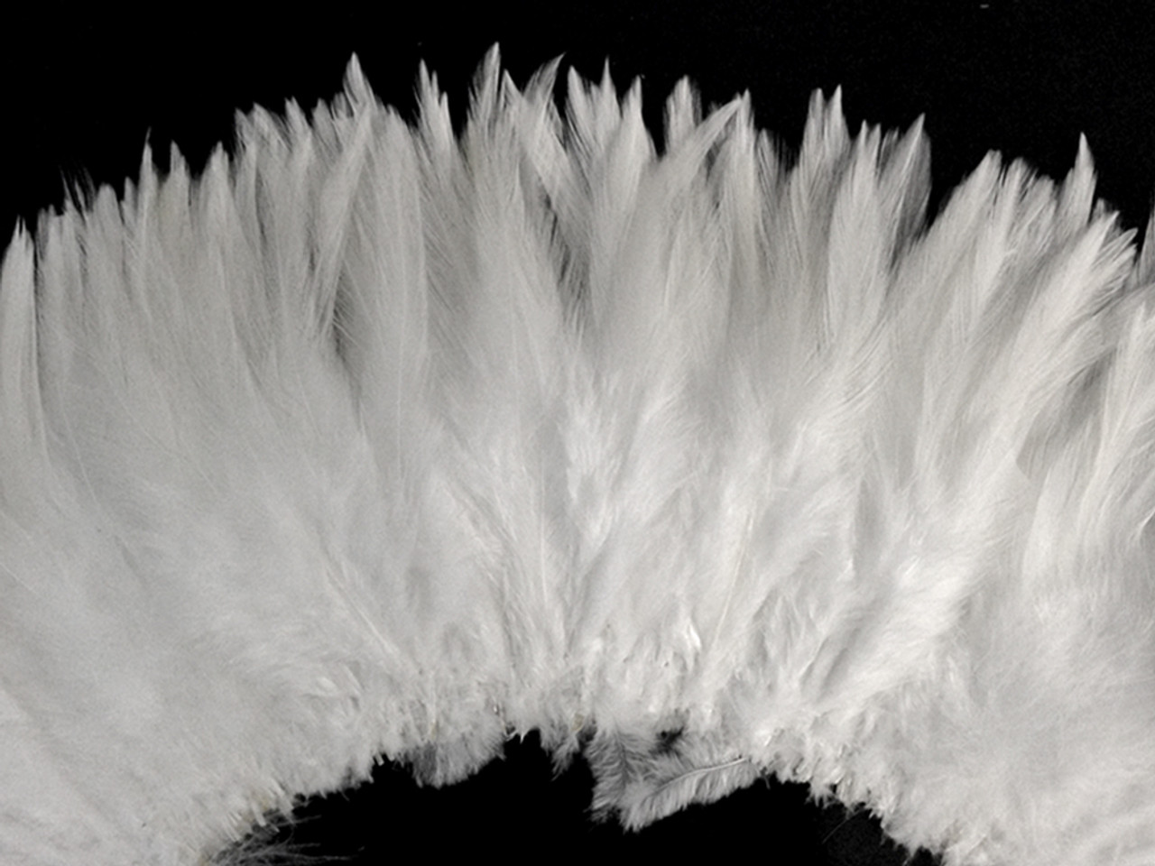 White Feather Boa by 100Candles