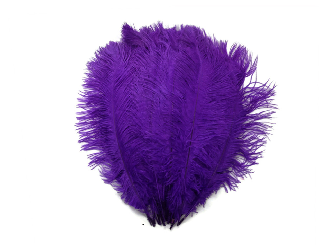 Ostrich Feathers, 10 Pieces 8-10 Purple Ostrich Dyed Drabs Feathers Party  Centerpiece Supplier : 1143 