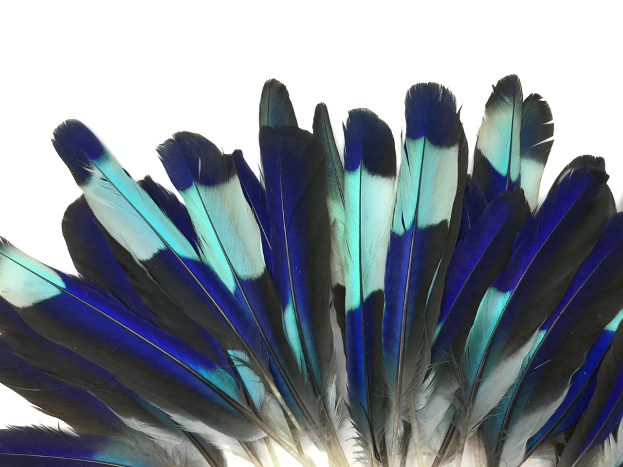 Multicolor Jags Artificial Feathers Medium 7 Big Size 5, 10,20 Pcs, Model  Name/Number: CFM-A-7 at best price in Hyderabad