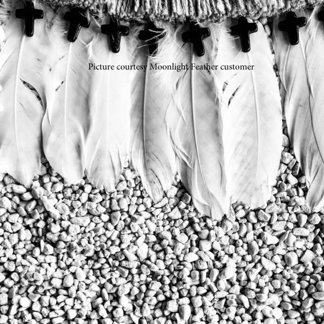 Black White Goose Feather, Black Feathers White Sewing